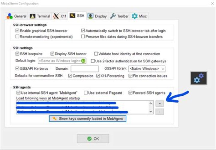 how to use ssh agent forwarding