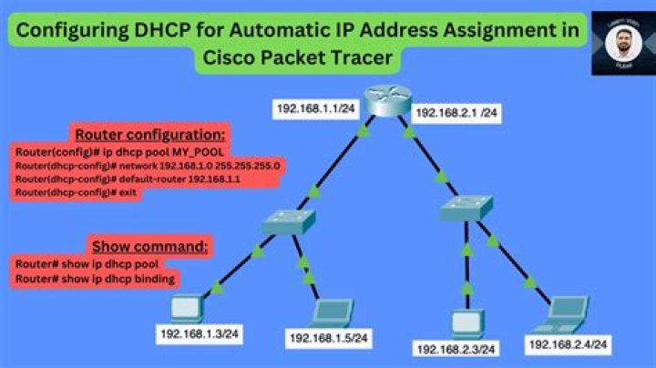 How to view the DNS address assigned by DHCP?