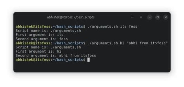 How to write a bash script that takes optional input arguments?