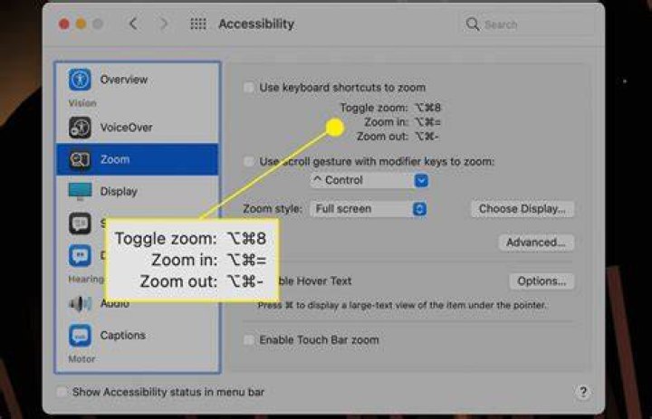 How to zoom in & zoom out