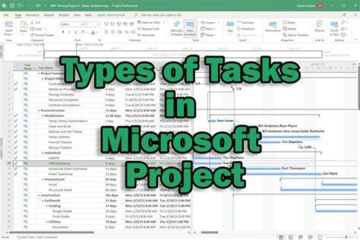 How to zoom out tasks in Microsoft Project 2010?