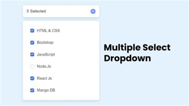 HTML select drop-down with an input field [duplicate]