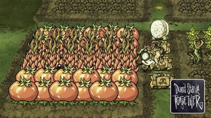 I've run out of stone in Don't starve. What do I do?