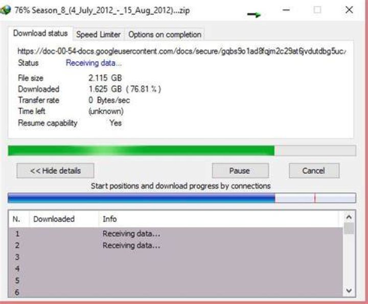 IDM Connected but Not Downloading File
