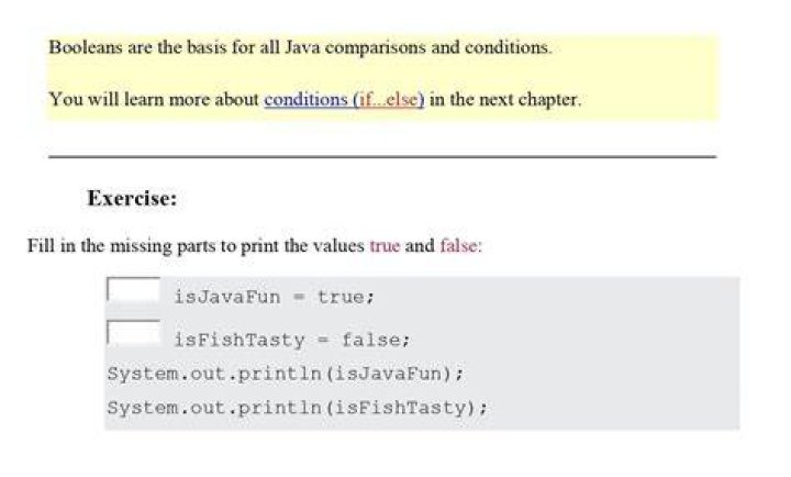 if (boolean condition) in Java