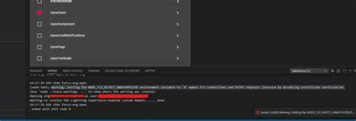 If I disable NODE_TLS_REJECT_UNAUTHORIZED, my request is still denied