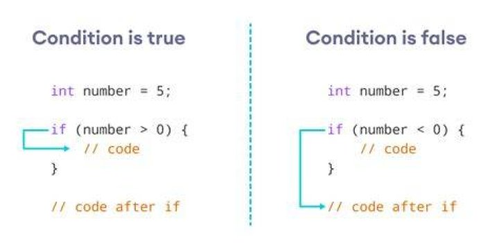 IF Statement Example