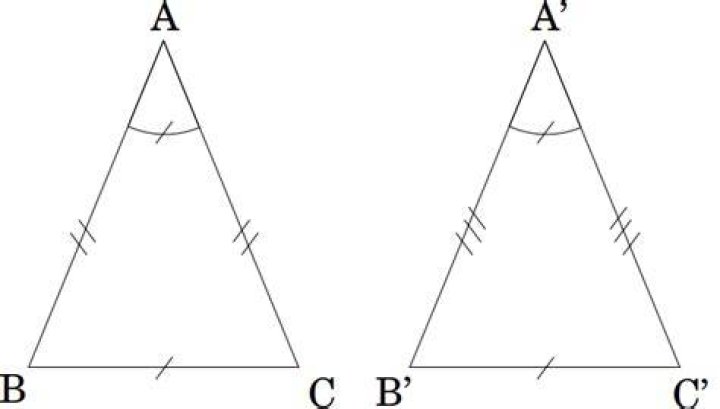 If we know the congruence of the apex and the base of two isosceles, are both congruent triangles? (help with the proof)