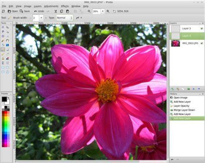 Image Editors with Layering Capability