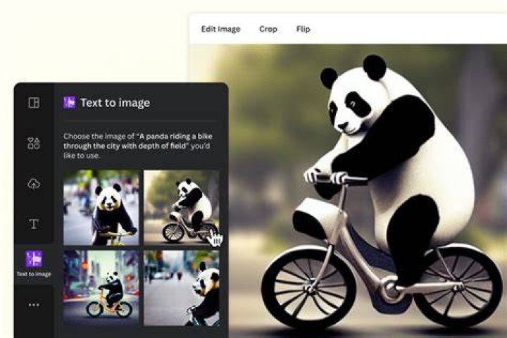 image from this site / 