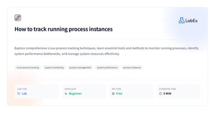 Image of process manager running via x11
