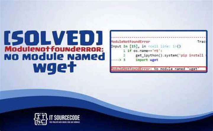 ImportError: No module named wget
