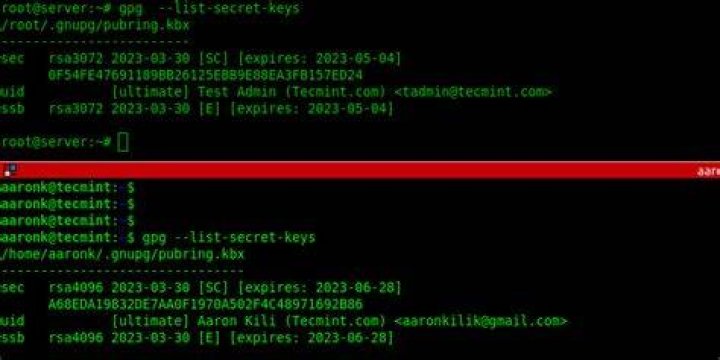 Importing GPG key in ubuntu:bionic Docker container