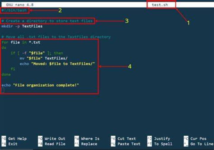 In a bash script, how do I check if 