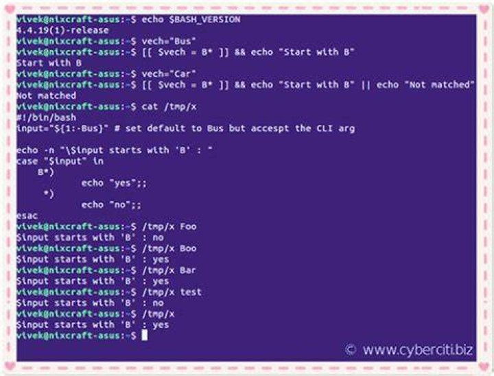 In Bash, how can I check if a string begins with some value?