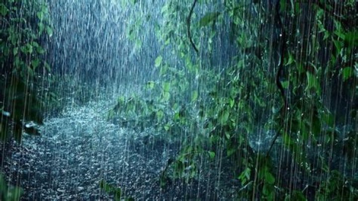 In Heavy Rain, how do Madison and Jayden ever meet?