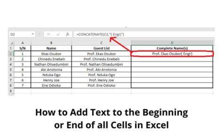 Insert text to the beginning of every Cell in a Column