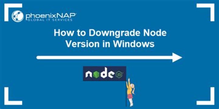 Install / downgrade specific version of Node.js [duplicate]