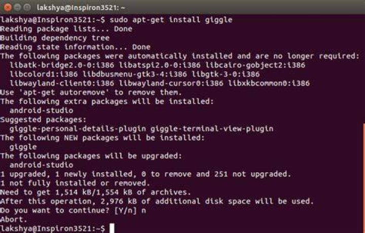 Install giggle