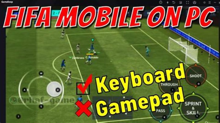 Installed FIFA 11: Runs without gamepad, crashes with it