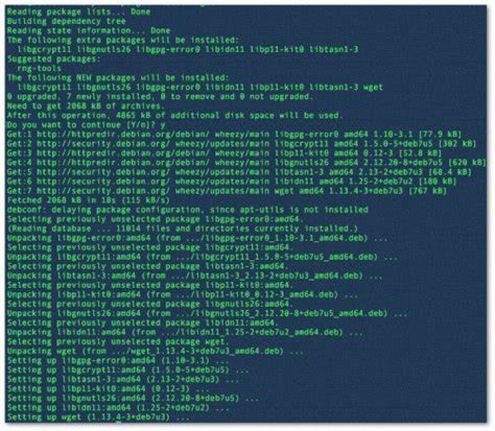 Installing wget in Debian 10