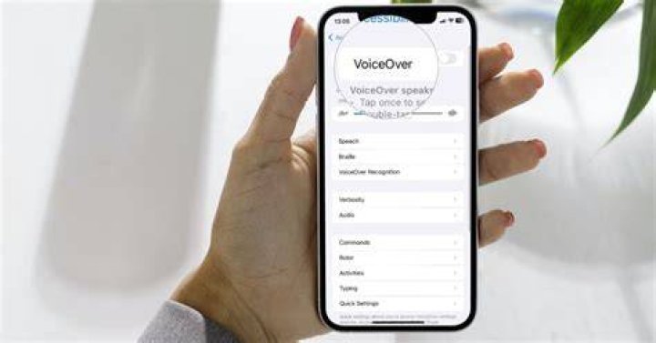 iOS Voiceover status