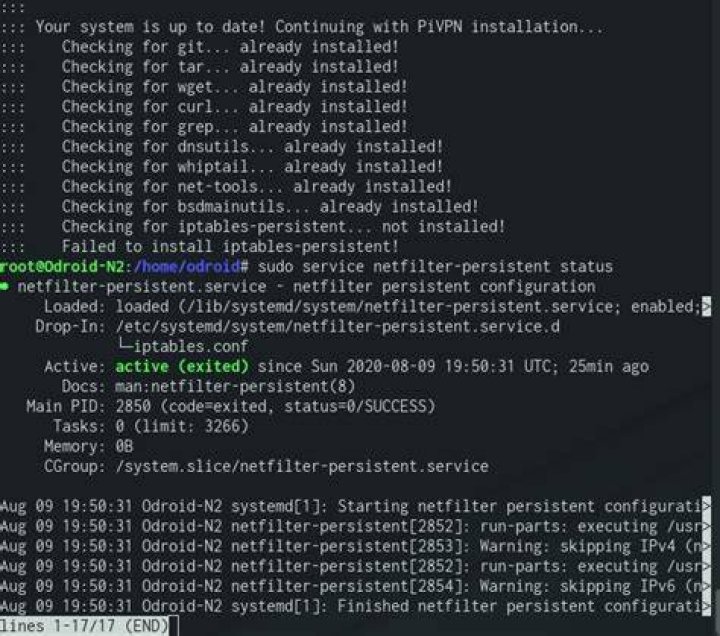 iptables-persistent and netfilter-persistent don't actually work on Ubuntu Server 16.04.3 x86_64
