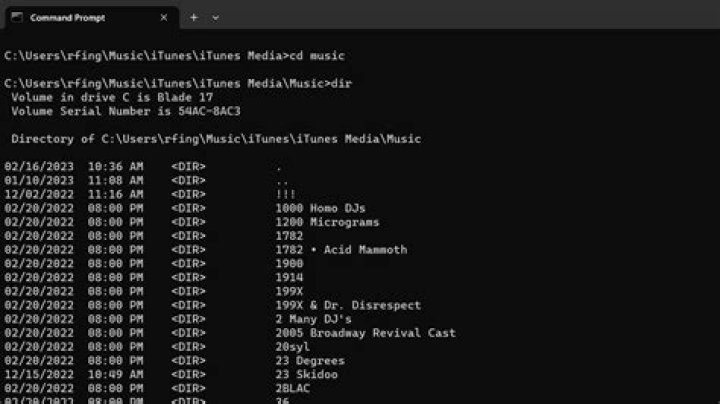 Is it possible to change the 'Type' of a directory in Windows