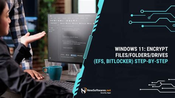 Is it possible to encrypt 2 SSD disks in software RAID 1 on Windows 10?