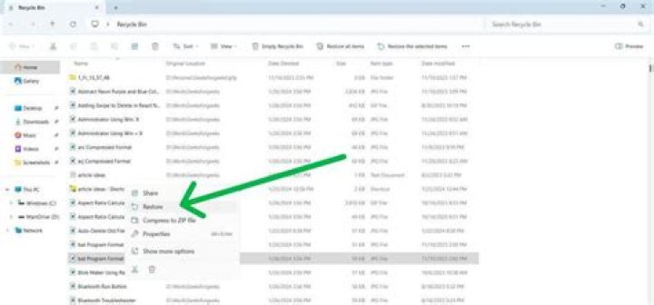 Is it possible to retrieve source file from an exe?