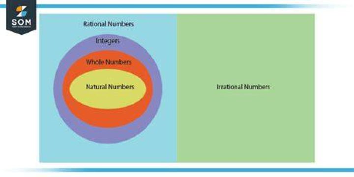 Is Pi over Pi rational?