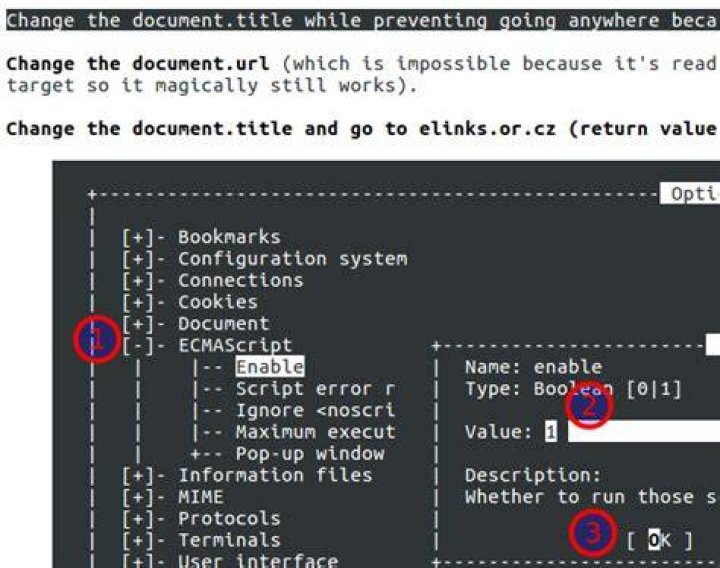 Is there a text mode browser which supports javascript?