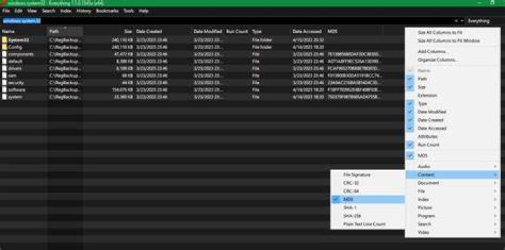 Is there a way to search for files by hash value?