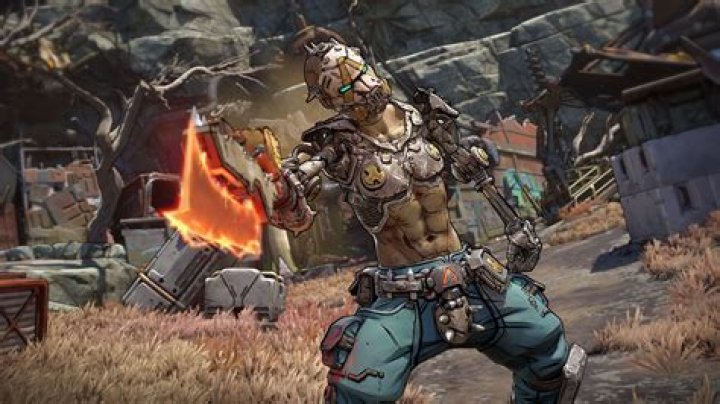 Is there any way to edit my character's voice in Borderlands 2?