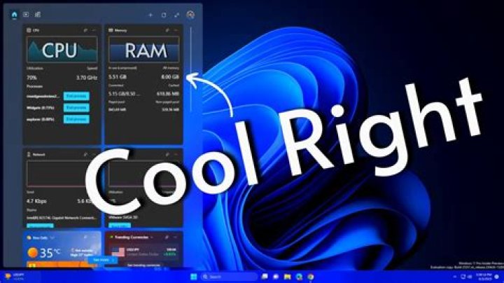 Is there any Widget that can show my CPU and other performances live?