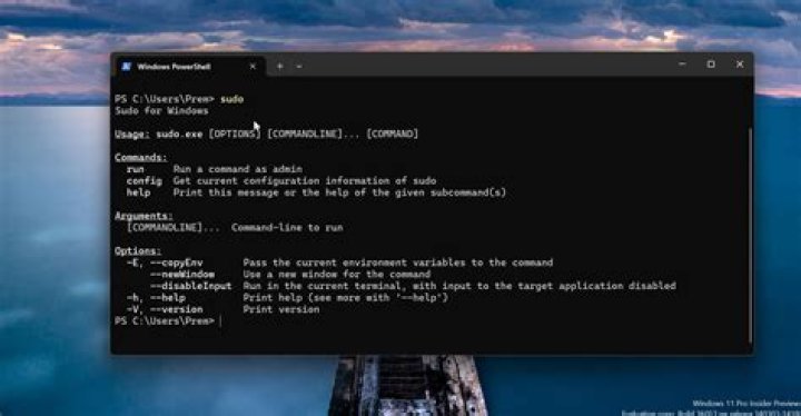 kill sudo with specific time every time