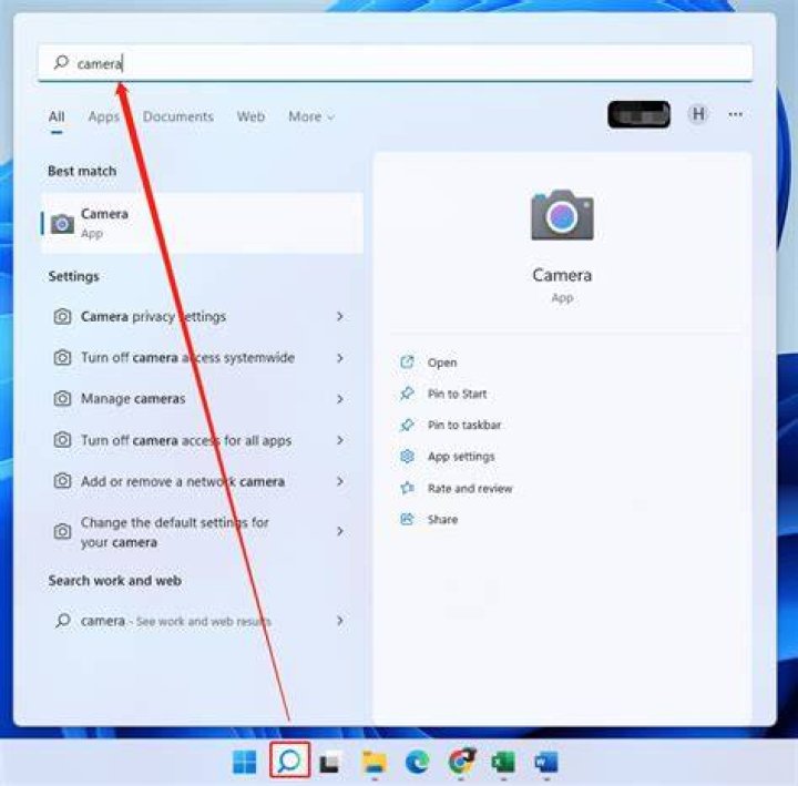 Laptop web camera 