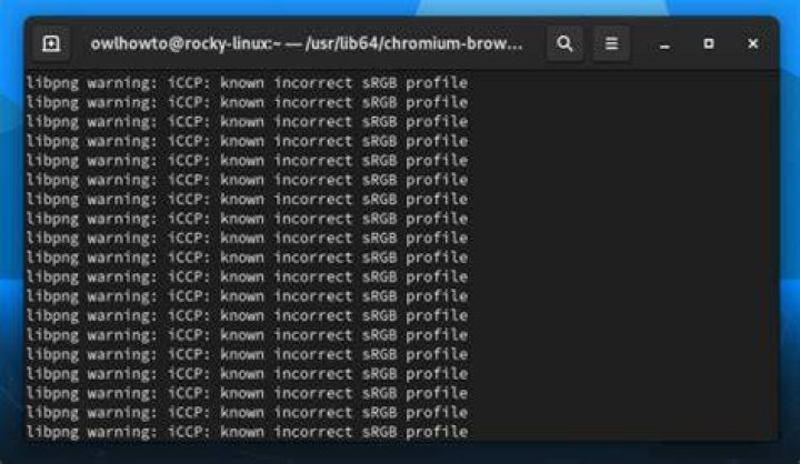Launching Chromium via Terminal, waiting some times, and close it