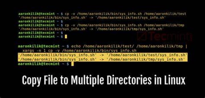 Linux Bash: Move multiple different files into same directory