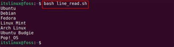 linux - bash - read: Illegal option -n