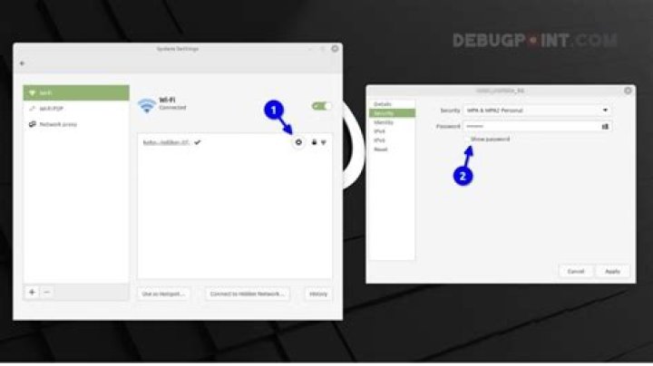 Linux Mint 19.1 Cinnamon Wifi password not saved
