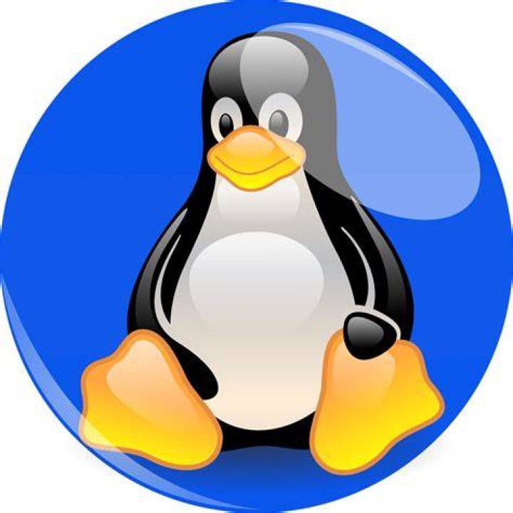 Linux Penguin Example