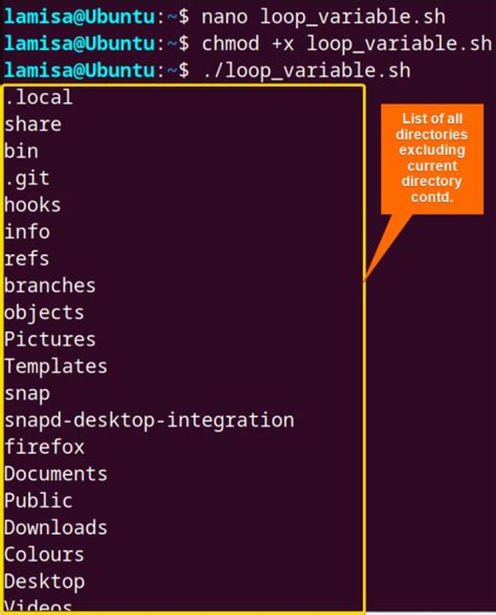Loop through directories and subdirectories in bash