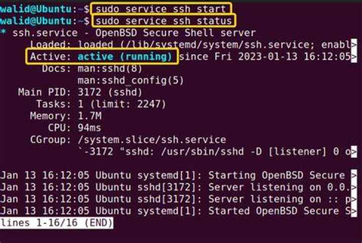 Lubuntu 18.04, rsync gives me ‘sh: rsync: command not found’ rsync version 3.1.2 is installed