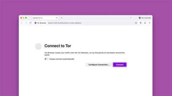 lubuntu firefox and chromium can't connect to internet but tor-browser can