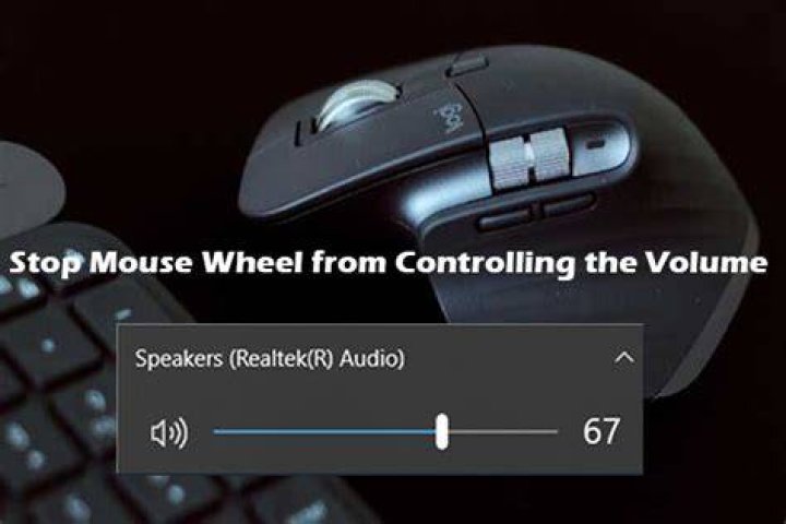 Make mouse wheel slower - Ubuntu 20.04