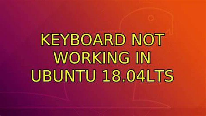 man command not working in Ubuntu 18.04