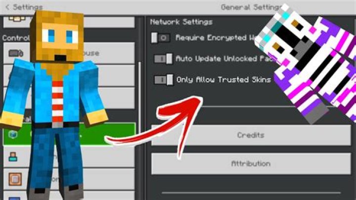 Minecraft custom skin not working in game and only shows default skin Alex
