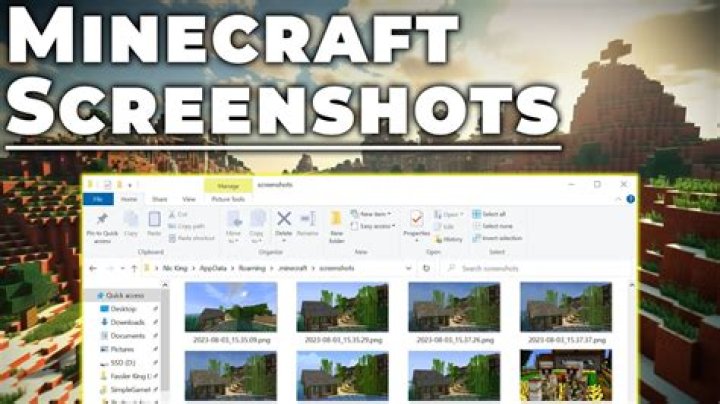 Minecraft screenshot