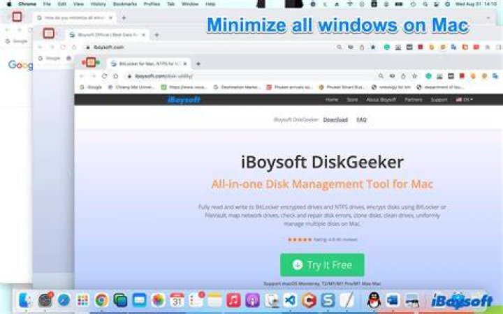 Minimize All in Mac OS?